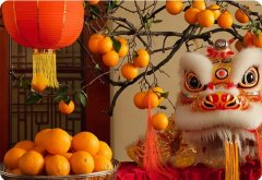 新年賀詞 | 筑夢(mèng)未來，在這里展翅騰飛